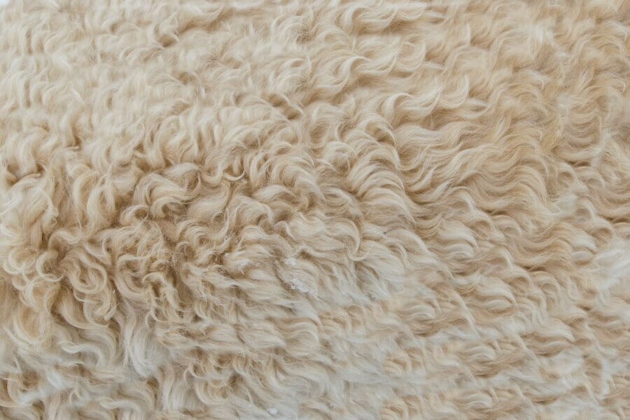 Vloerkleed reinigen met sneeuw